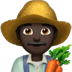 :man_farmer:t6: