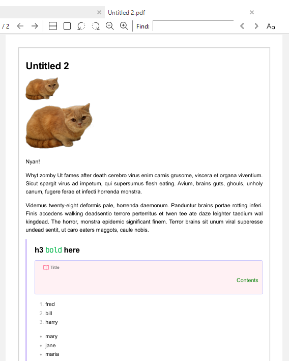 PDF Page Border with css snippet - Custom CSS & Theme Design