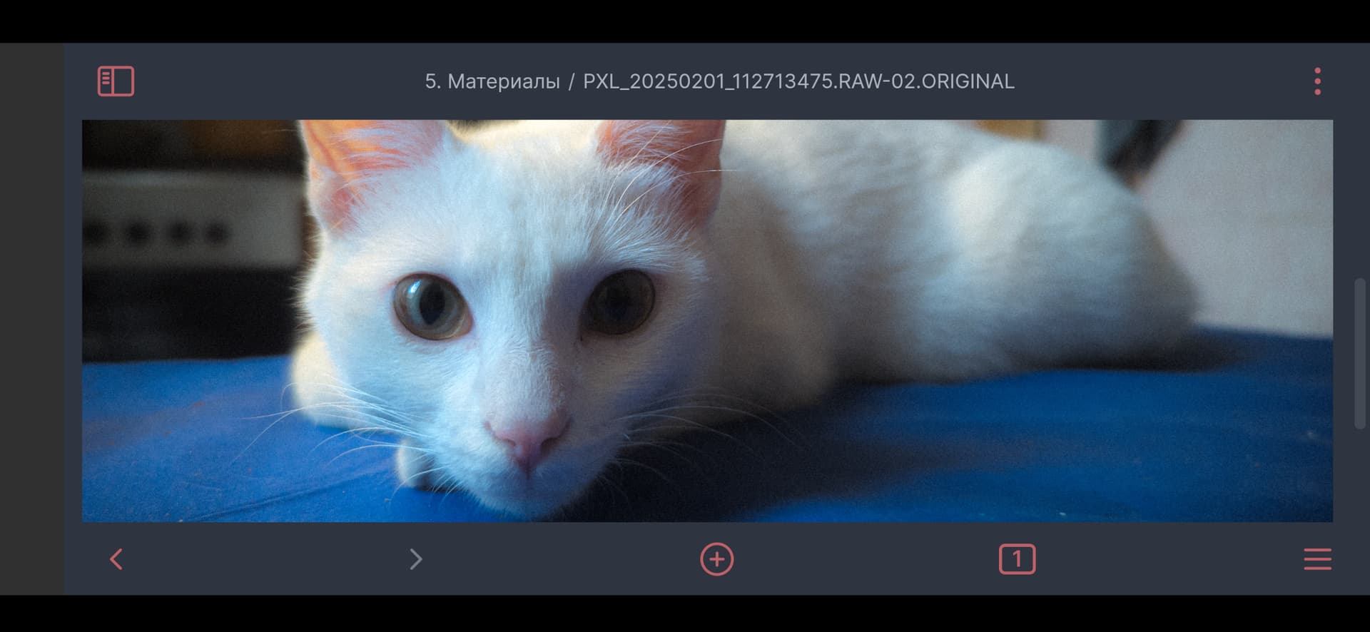 Android Landscape View Bug - Bug reports - Obsidian Forum