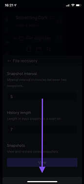 File Recovery (iPhone)