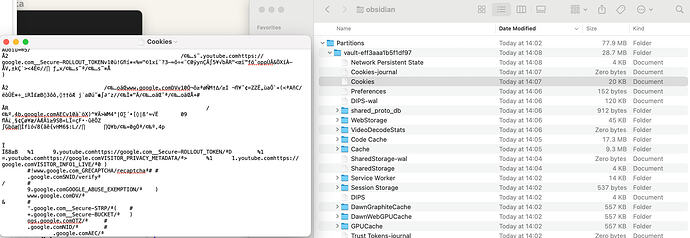 Screenshot 2026-02-21 at 14.07.48
