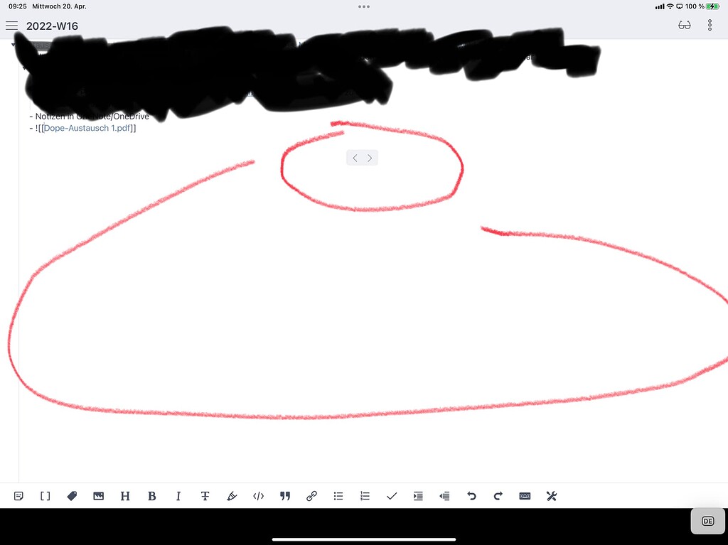PDFs don‘t show up / only blank space - Bug graveyard - Obsidian Forum