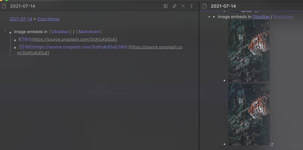 Link to and embed an image - Help - Obsidian Forum