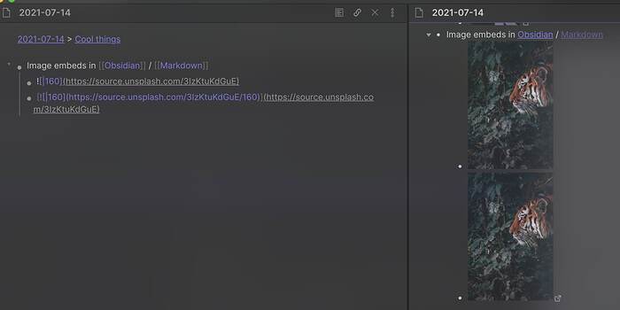 Link to and embed an image - Help - Obsidian Forum