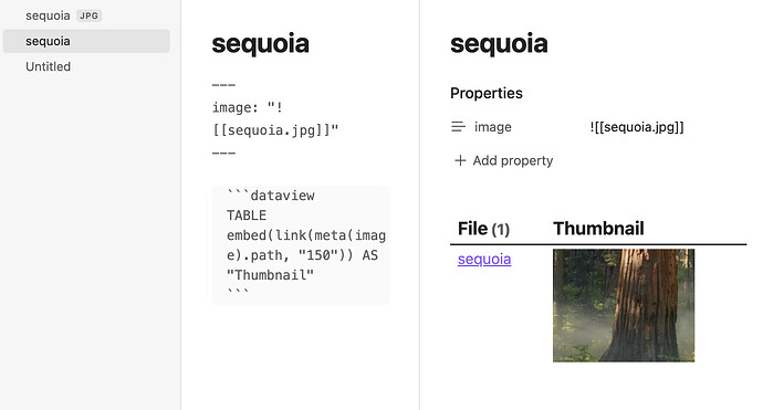 images in dataview