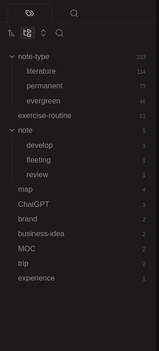 side-panel-tags-obsidian
