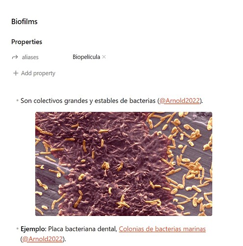 Captura de pantalla 2024-03-16 103443