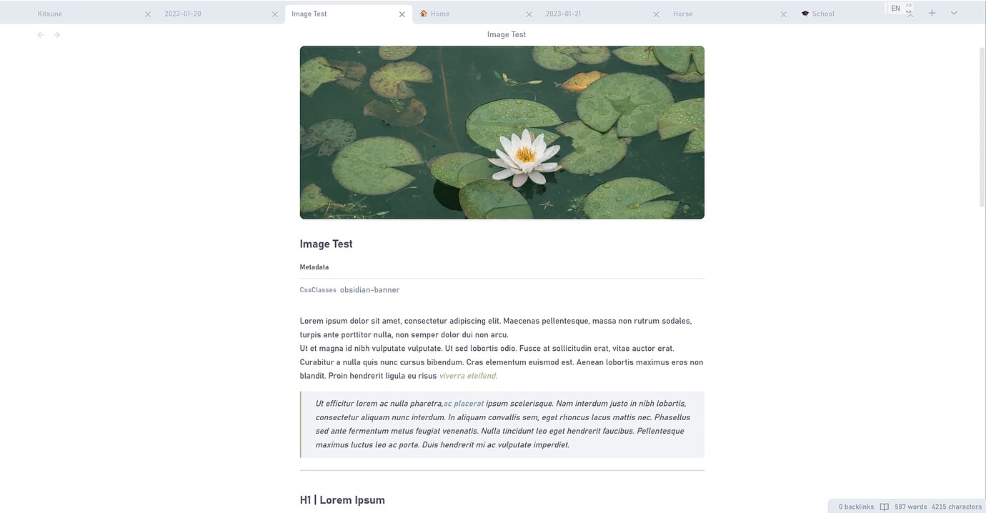 (CSS) How to Style the First Image in a Note? - Custom CSS & Theme ...