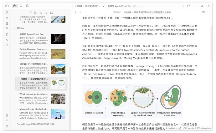 File Preview