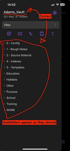 vault_view_phone_in_app