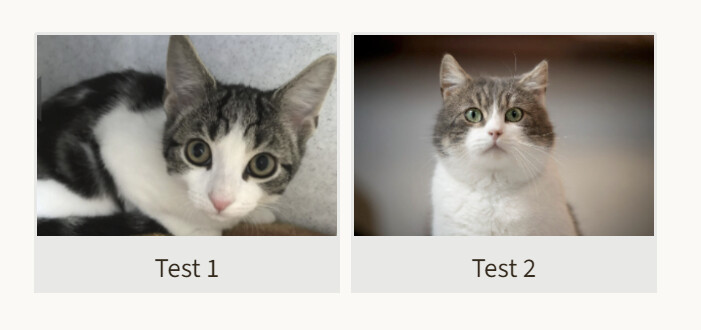 Image captions: caption width to match image width - Help - Obsidian Forum