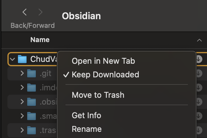 2024-12-18 Obsidian vault keep downloaded