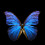 bttrflii