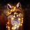 DumbFox42