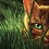 Firestar16Xx