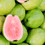 Guava