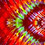 mycosphere